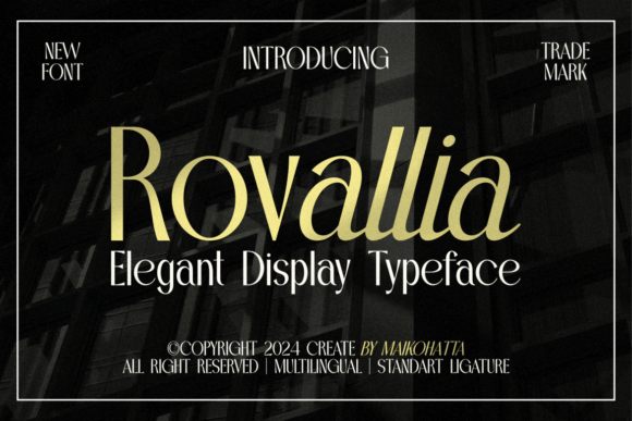 Rovallia: The Sans Serif Typeface for Polished Small Business Branding