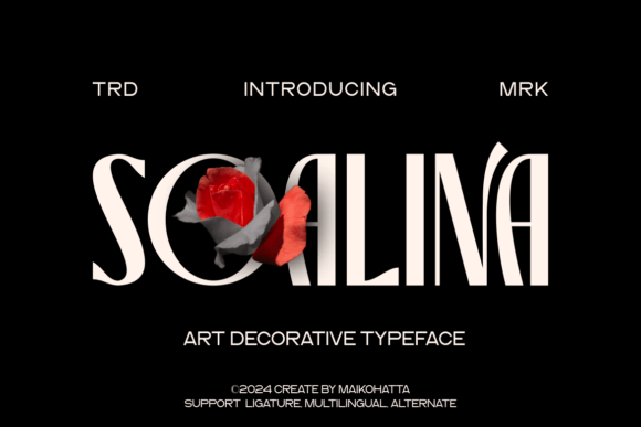 Soalina: The Energetic Sans Serif Typeface for High-Impact Campaigns