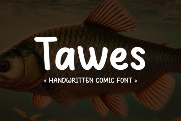 Tawes: A Whimsical Sans Serif for Editorial Design